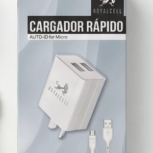 rc500500a mic.jpg